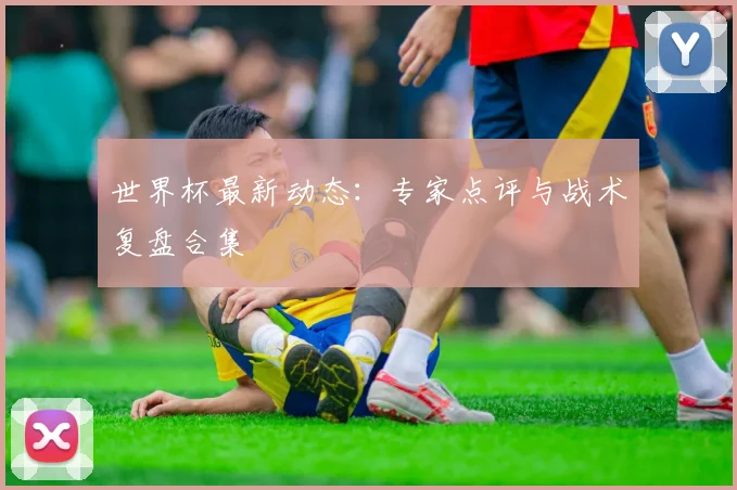 世界杯最新动态：专家点评与战术复盘合集