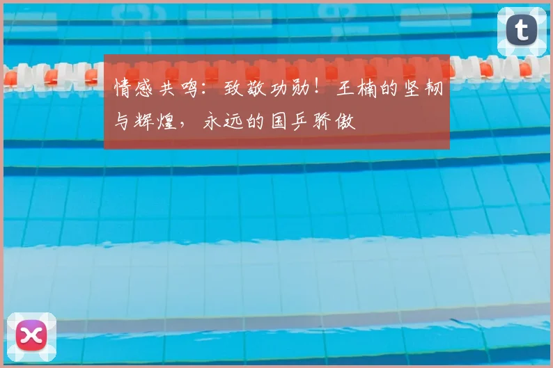 情感共鸣：致敬功勋！王楠的坚韧与辉煌，永远的国乒骄傲