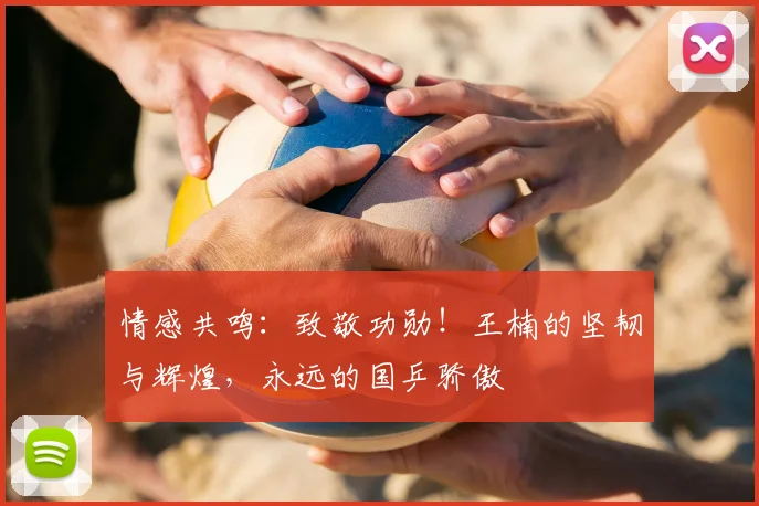 情感共鸣：致敬功勋！王楠的坚韧与辉煌，永远的国乒骄傲