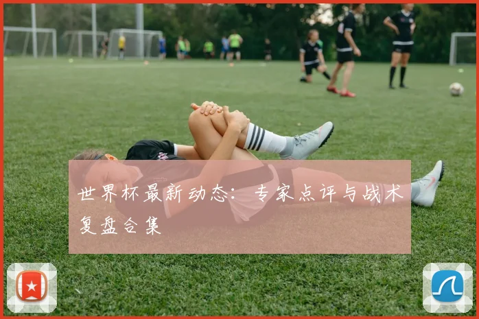 世界杯最新动态：专家点评与战术复盘合集