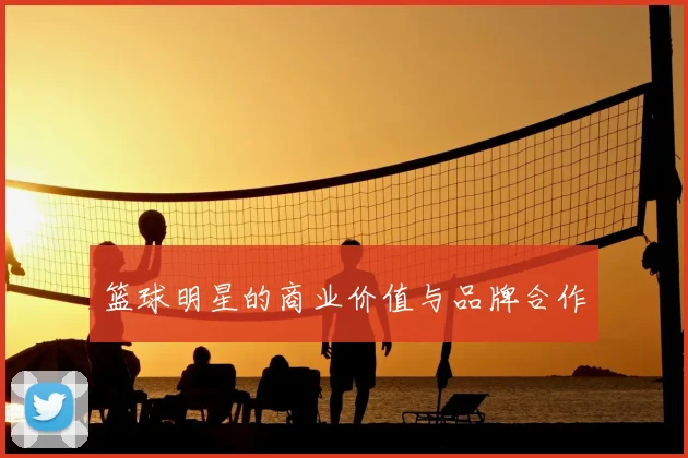 篮球明星的商业价值与品牌合作